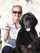 Превью фото № 189963