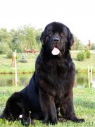 Превью фото № 190031