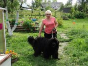 Превью фото № 190063