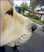 Превью фото № 190092