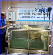 Превью фото № 190121