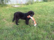 Превью фото № 190151