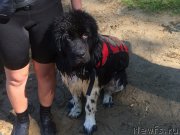 Превью фото № 190180