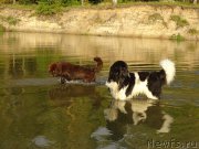 Превью фото № 190181