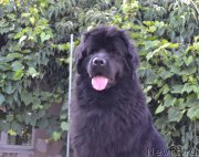 Превью фото № 190205