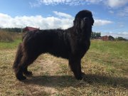 Превью фото № 190273