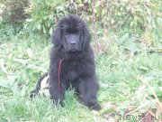 Превью фото № 190317