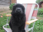 Превью фото № 190577