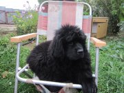 Превью фото № 190580