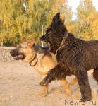 Превью фото № 19059