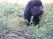 Превью фото № 190608