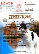 Превью фото № 190625