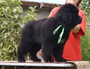 Превью фото № 190638