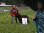 Превью фото № 190641