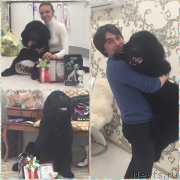 Превью фото № 190667