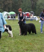 Превью фото № 190696