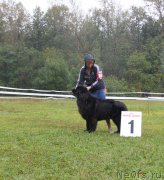 Превью фото № 190700