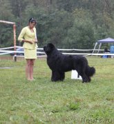 Превью фото № 190738