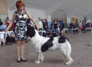 Превью фото № 190784