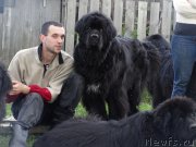 Превью фото № 190807