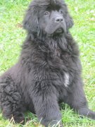 Превью фото № 190823