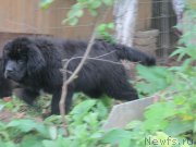 Превью фото № 190824