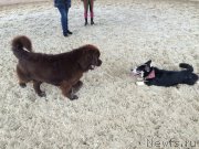 Превью фото № 190842