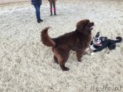 Превью фото № 190843