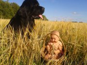 Превью фото № 190885