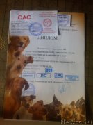 Превью фото № 190903