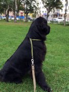 Превью фото № 190906