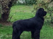 Превью фото № 190907