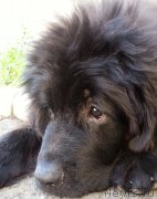 Превью фото № 190922