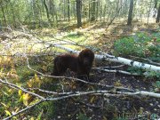 Превью фото № 190970