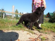 Превью фото № 190990