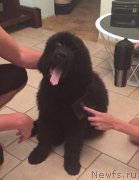 Превью фото № 191001