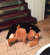 Превью фото № 191006