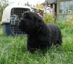 Превью фото № 19101