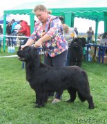 Превью фото № 191029