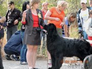 Превью фото № 191124