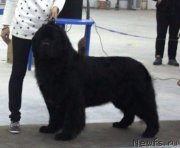 Превью фото № 191185