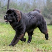 Превью фото № 191187