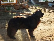 Превью фото № 191236