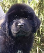 Превью фото № 191329