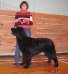 Превью фото № 19138