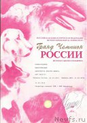 Превью фото № 191382