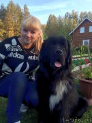 Превью фото № 191395