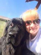 Превью фото № 191397