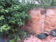 Превью фото № 191400