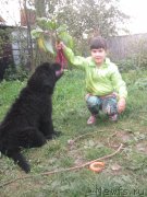 Превью фото № 191519